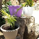 Lily Home_lefkada ~ Private Holiday home